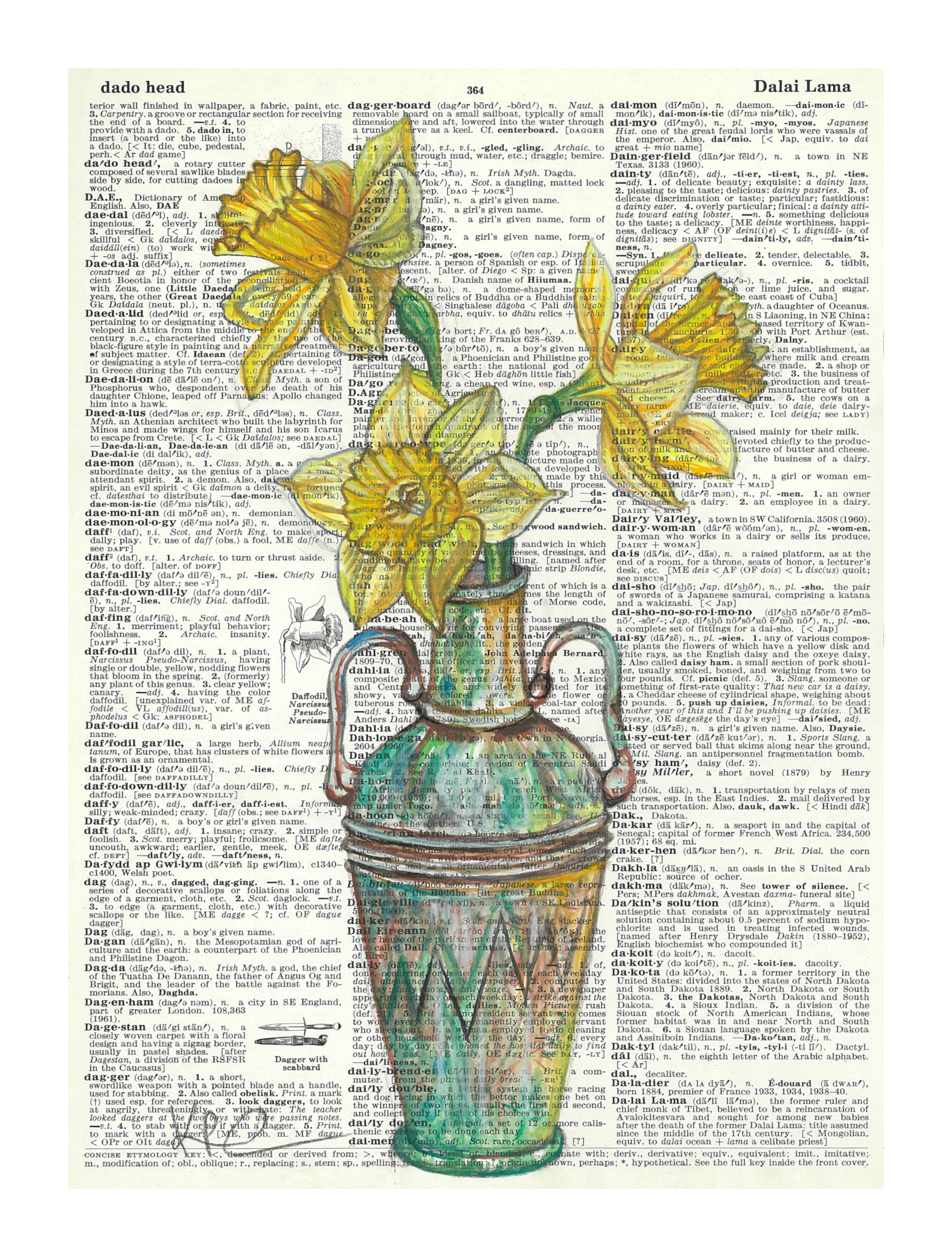 Image 21