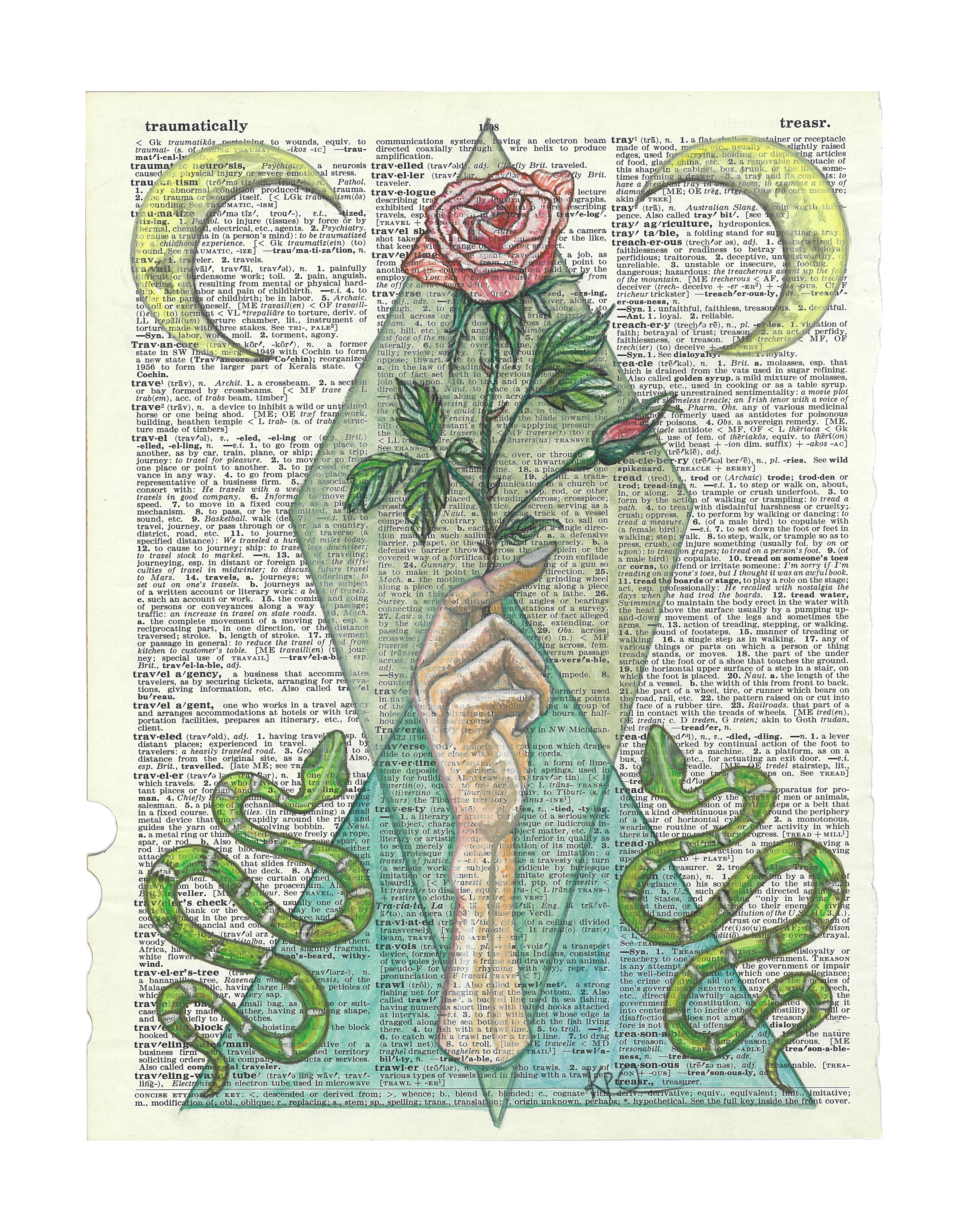 Image 19