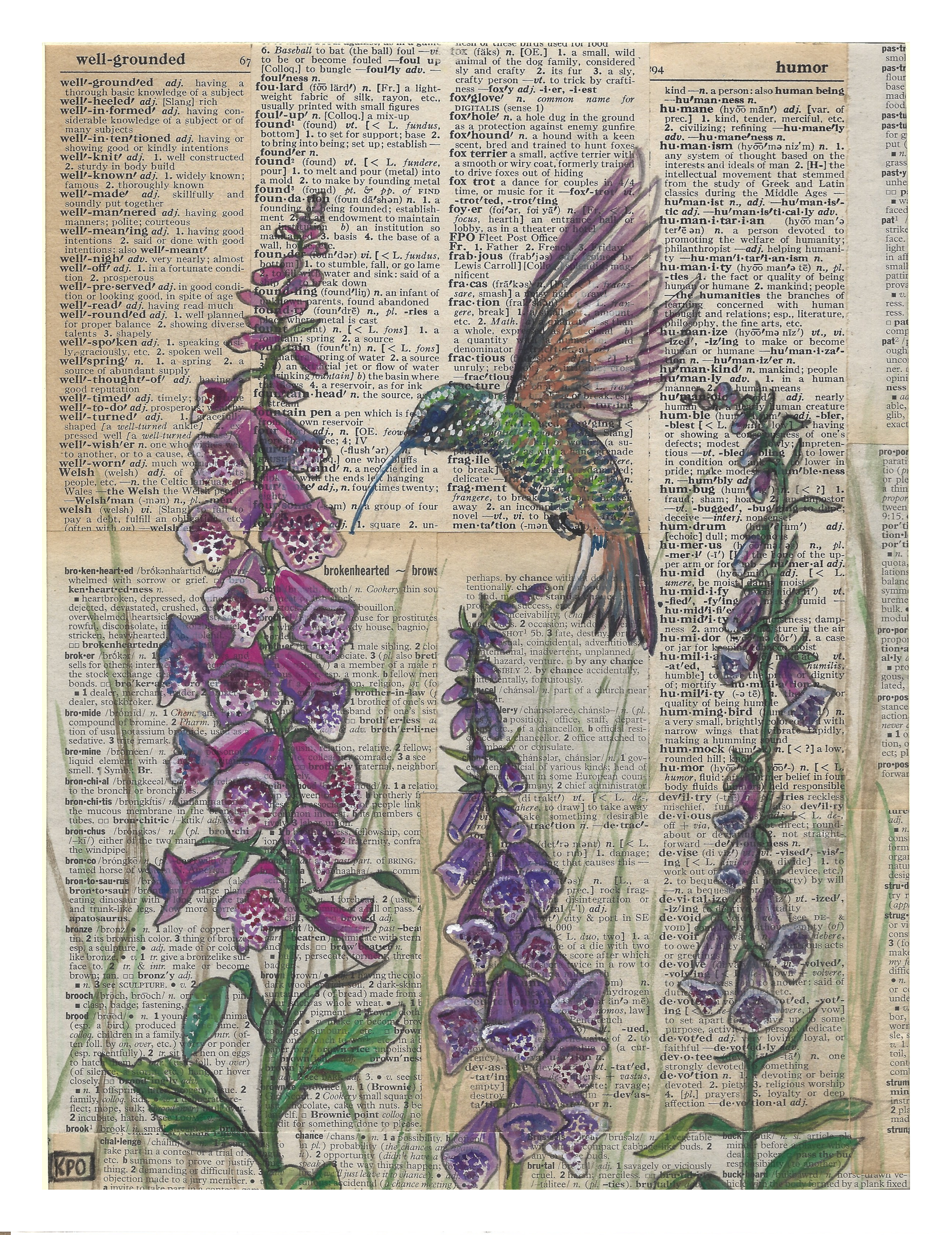 Image 14
