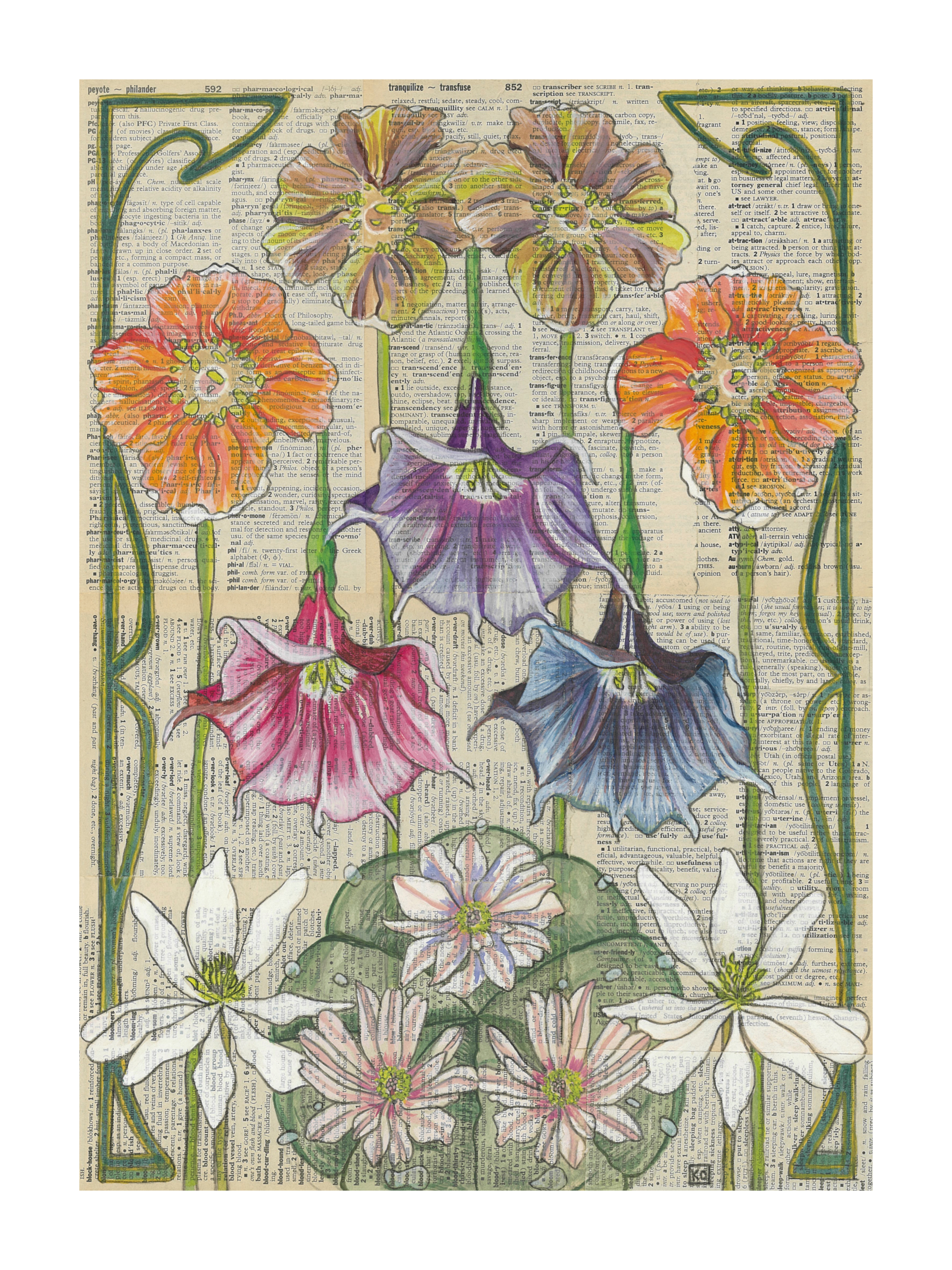 Image 22